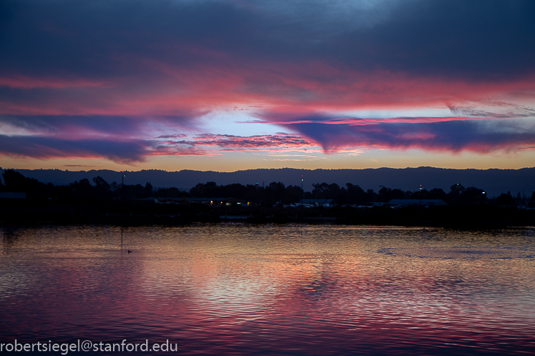 palo alto baylands